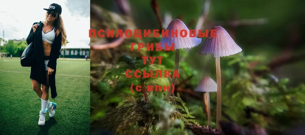мяу мяу мука Балабаново