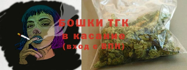 PSILOCYBIN Балахна