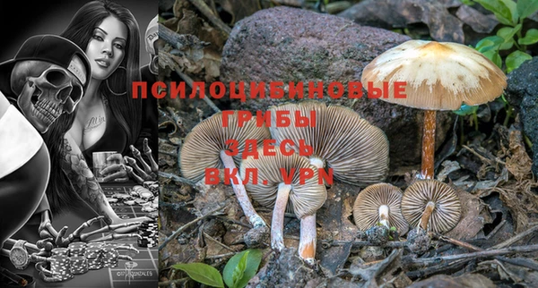 мяу мяу мука Балабаново
