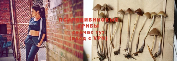 PSILOCYBIN Балахна