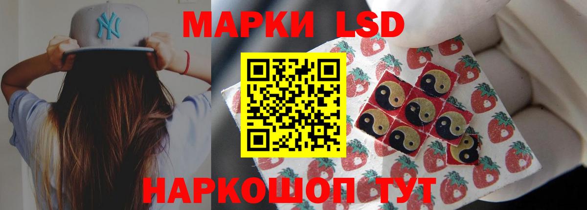 МЕФ Долгопрудный