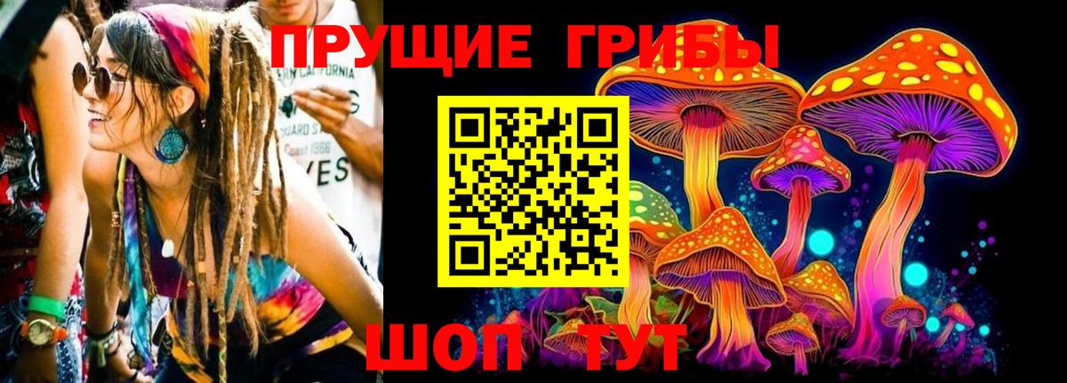 купить закладку  Псилоцибиновые грибы GOLDEN TEACHER  Вход с VPN  Долгопрудный 