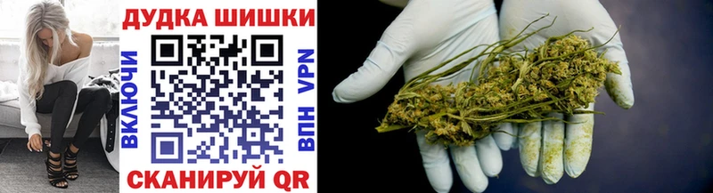 кракен как зайти  Долгопрудный  Канабис сатива  купить наркотик 